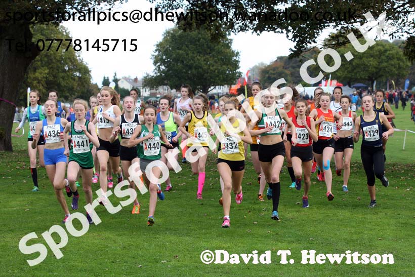 Girls under-15s Northern Cross Country Relays, Graves Park, Sheffield. Photo: David T. Hewitson/Sports for All Pics